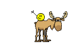 kolobki130.png