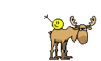 kolobki130.gif