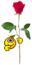 kolobki3.png