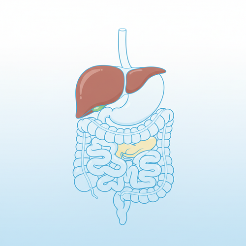 pinterest gastroenterology 1771244440293.png