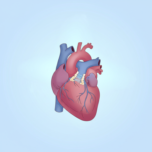 pinterest heart valve stenosis 1770929137480.png