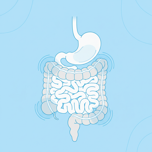 pinterest ibs 1770909939155.png