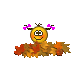 damy128.gif