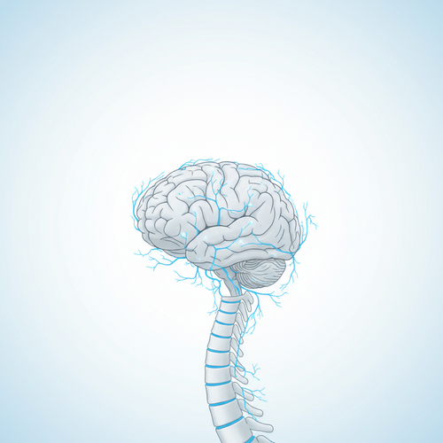 pinterest neurosurgery 1771248639047.png