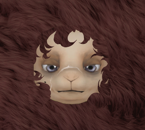 Без названия104 20260122173405.png