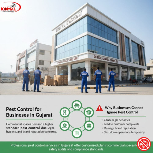 Gujarat's Best Pest Control Services for Total Protection.jpg