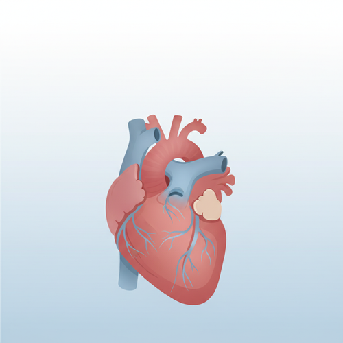 pinterest coronary artery disease 1770921634988.png