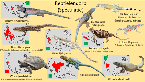 Reptile town speculation.png