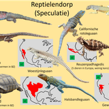 Reptile town speculation