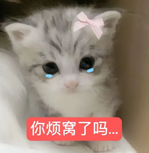 Screenshot 20260222 231511 com.ss.android.ugc.aweme.png