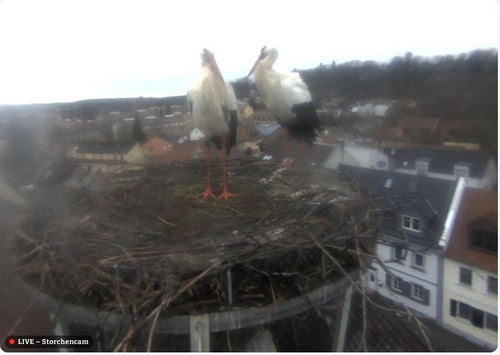 MWSnap344.jpg