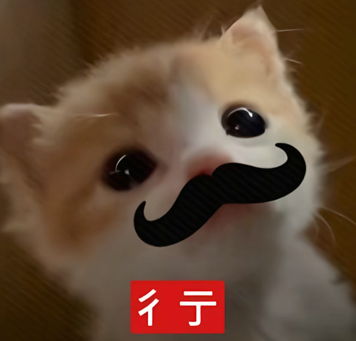 Screenshot 20260222 231743 com.ss.android.ugc.aweme.png