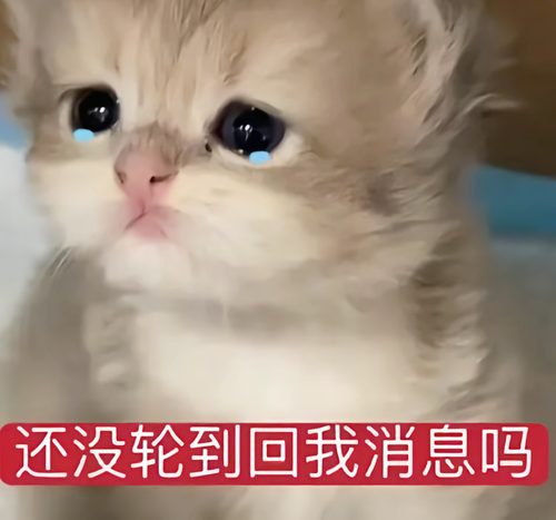 Screenshot 20260222 231900 com.ss.android.ugc.aweme.png