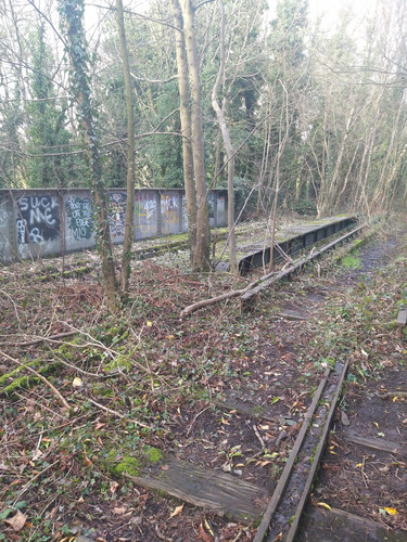 8430cf91 2908 4999 b672 d5e31ebd7829.jpg