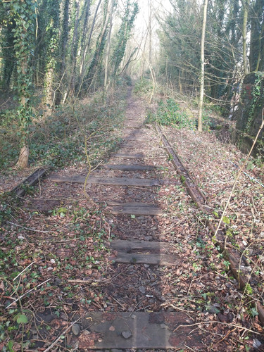 55a95be9 c5b5 443e 8f09 6b236f4b6a43.jpg