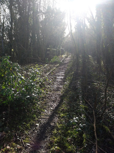 63825cb6 0217 4843 95ac c5526dbccddd.jpg