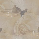 softlybackground