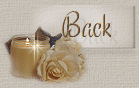 softlyback.gif
