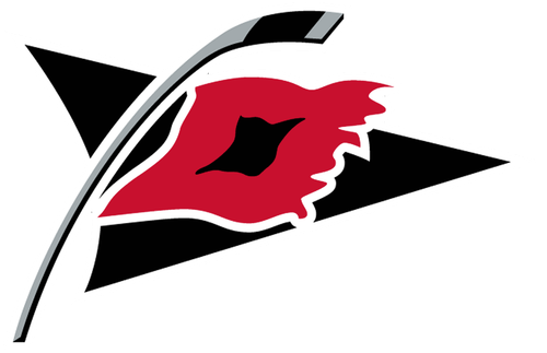 carolina hurricanes logo alternate 20004441.png