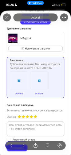 IMG 5906.png