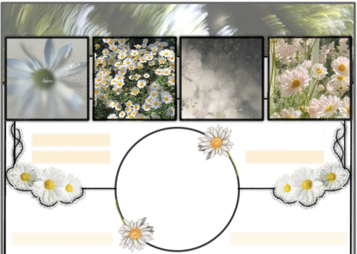 IMG 20260222 003009.png