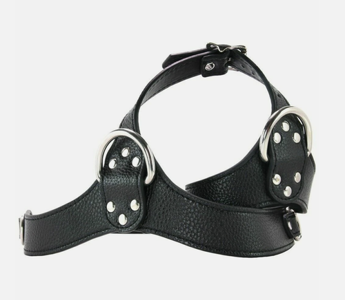 Знімок екрана 2026 02 20 о 21.36.36.png