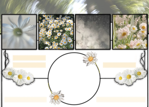 IMG 20260222 015557.png