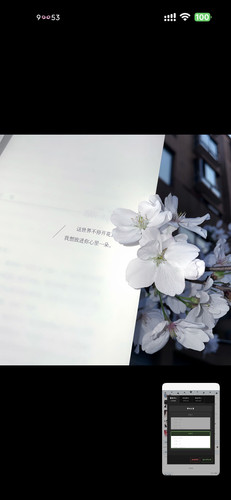 Screenshot 2026 01 27 09 53 29 054 com.xingin.xhs.jpg