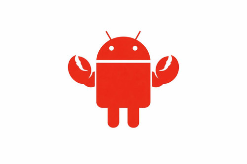 photo 6116279870892478092 y.jpg