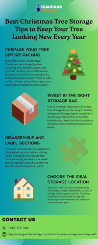 Best Christmas Tree Storage Tips to Keep Your Tree Looking New Every Year.jpg