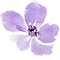 1771573688718.png