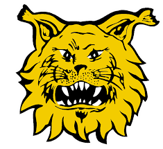 lataus (2).png