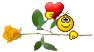 snizu147.png
