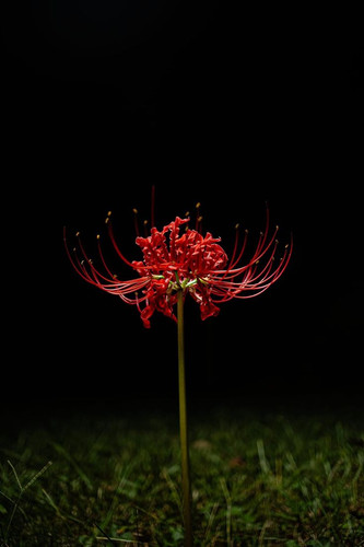 ดาวน์โหลด 2026 02 23T191052.117.jpg