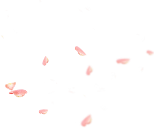 pngwing.com сакура.png