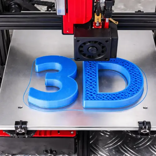 3d root.webp