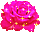 snizu90.gif