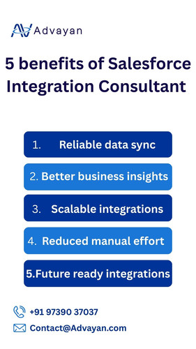 Salesforce Integration Consultant​.jpg