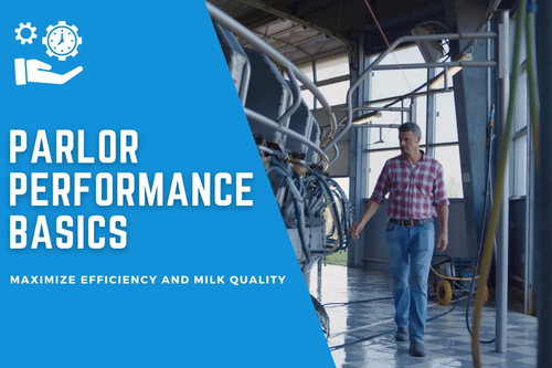 Cattle Care: Smart Computer Vision for Milk Barn Optimization.png