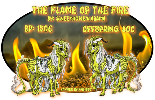 the flame of the fire