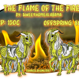 the flame of the fire