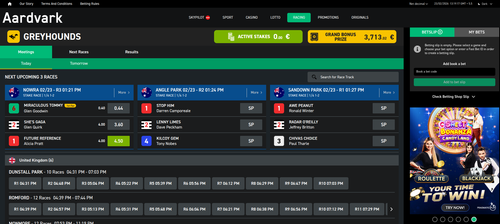 Aardvark Your Next Gen Online Betting Platform 02 23 2026 01 19 PM.png