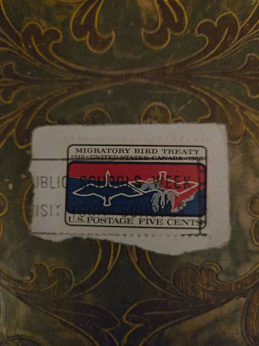 645c8b3ad899.jpg