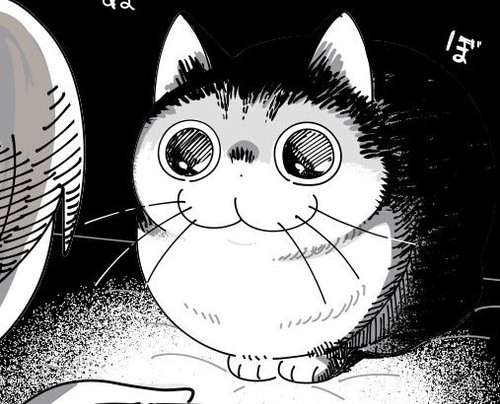 真っ暗な部屋にいたら｜ねこナビ.jpg