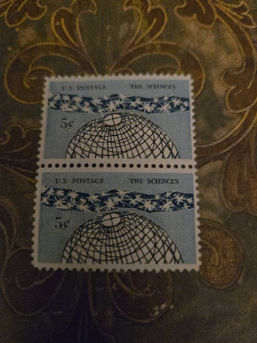 d78cb873bf0f.jpg