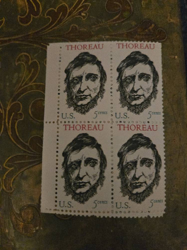 477d8c8006ec.jpg