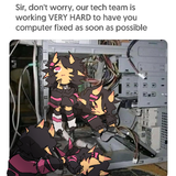 1000081741.png