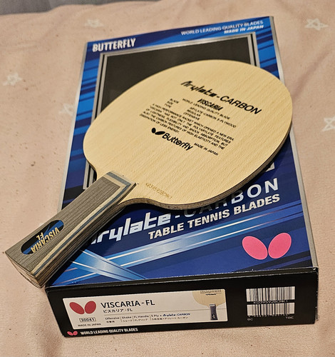 1000081161.jpg