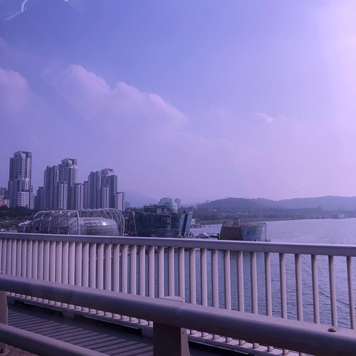 20190723 071345 B0QB9urHaqx 01.jpg