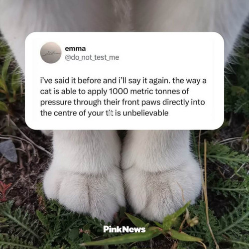 652408478 10162843570494157 3680262459697116280 n.jpg